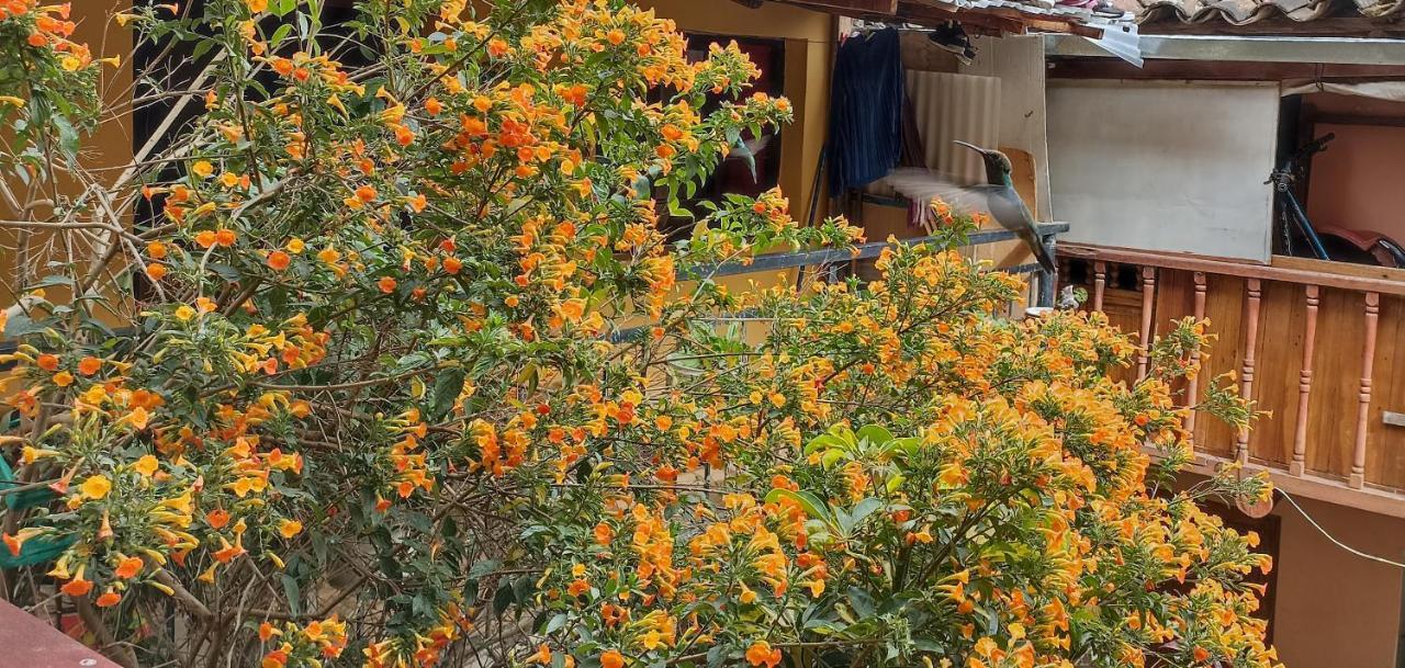 Los Apus Ollantaytambo Ngoại thất bức ảnh